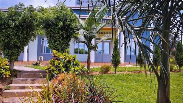 Un giardino curato con diverse piante e un edificio con ampie finestre sullo sfondo.