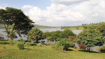 Un paisaje tranquilo junto al lago, con abundante vegetación y árboles.