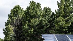 A wooden cabin with a large window, solar panels, and a grassy field. - Room 'Rot' with Shared Terrace, Shared Garden and Wi-Fi (Villandro)