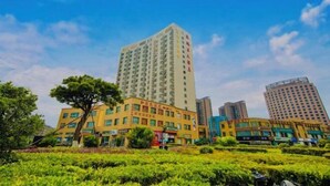 Un edificio de varios pisos con techo plano y un gran árbol en la fachada.