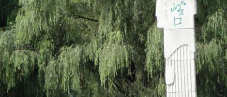 Kolam renang outdoor