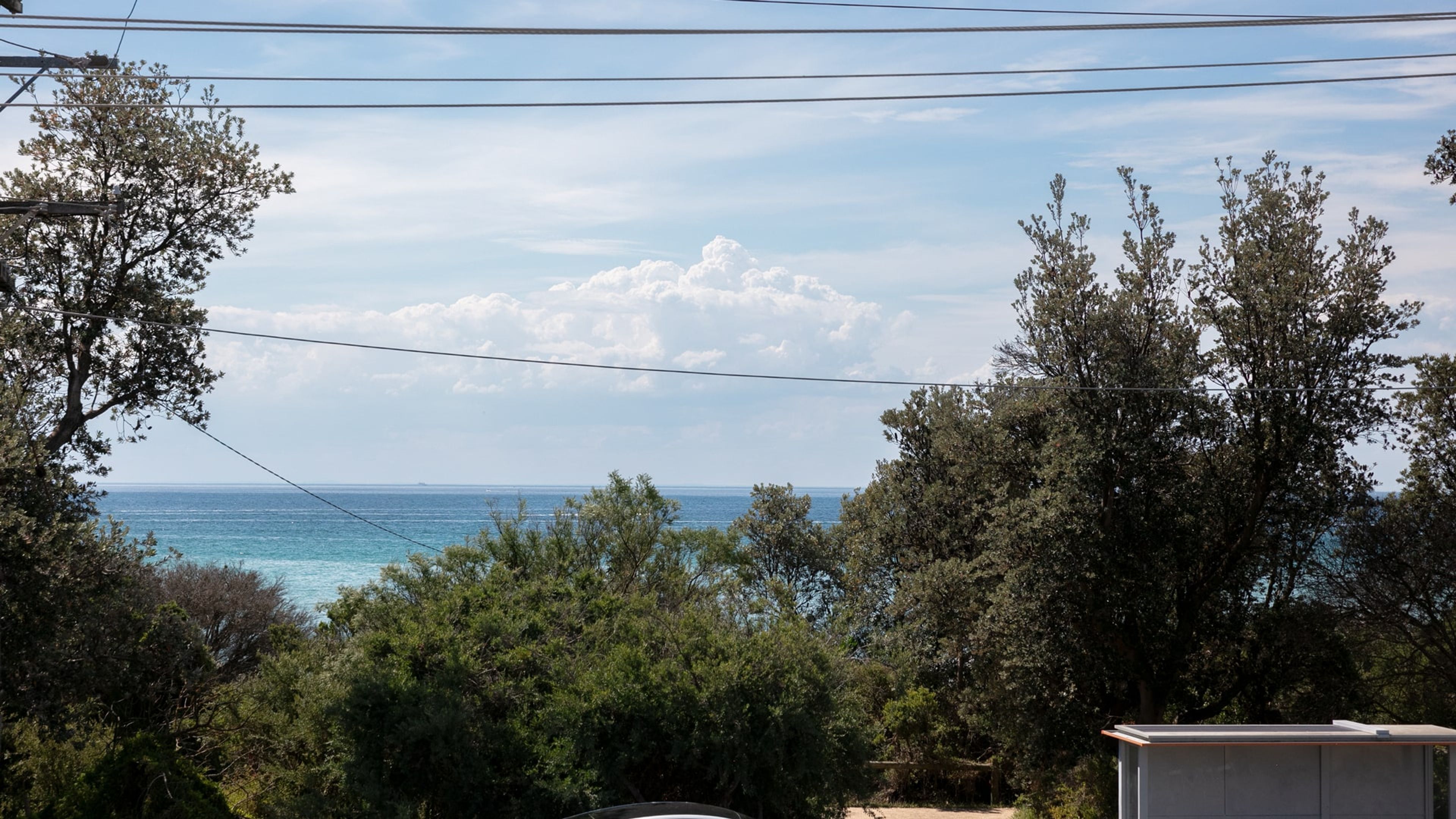 A coastal view with trees and a clear sky.