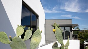A modern building with a cactus plant in front. - Stunning Beach Views Pet Friendly Dromana Retreat (Dromana)
