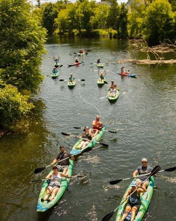 Un grupo de personas en kayak en un río rodeado de exuberante vegetación.