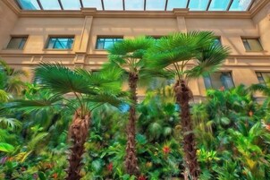 Jardines del alojamiento