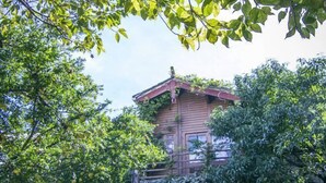 A wooden cabin surrounded by lush greenery.