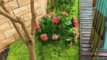 A garden with a brick wall, a wooden deck, and pink flowers.