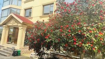 A building with a red-tiled roof, a small porch, and a large tree with red flowers.