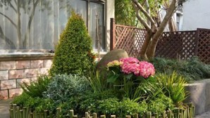 A landscaped garden with a variety of plants and a decorative fence. - Qihupan Inn Heping (Wuxi)