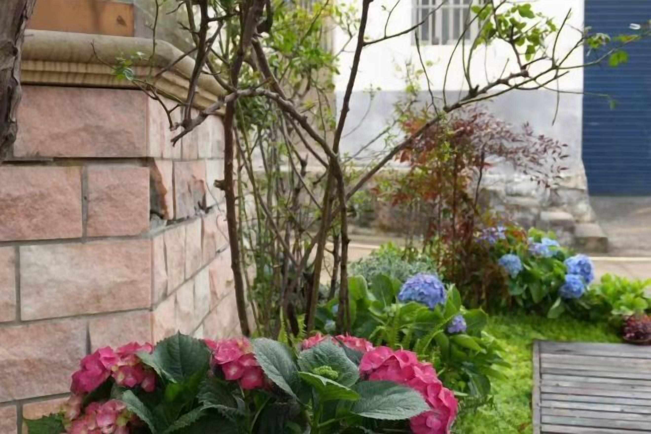 Ein Garten mit verschiedenen Pflanzen und Blumen, einer Steinmauer und einer hölzernen Bank.
