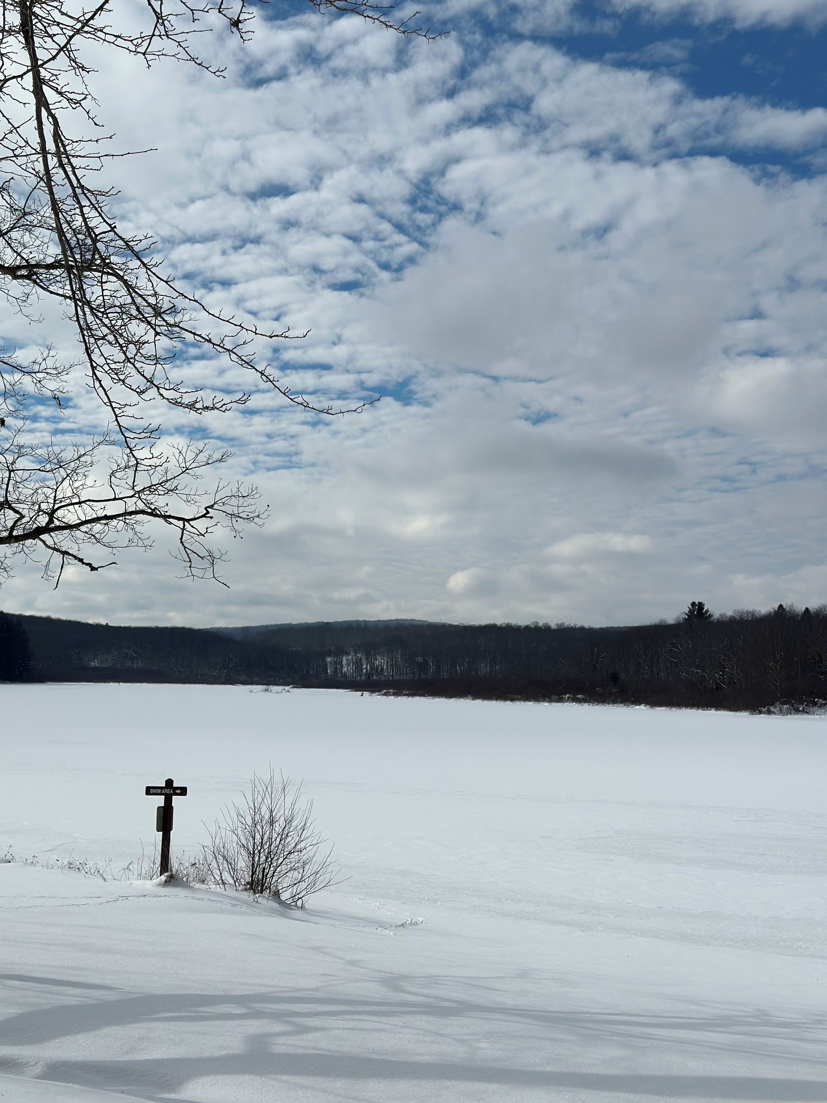 A snow-covered landscape with a signpost indicating a swimming area.