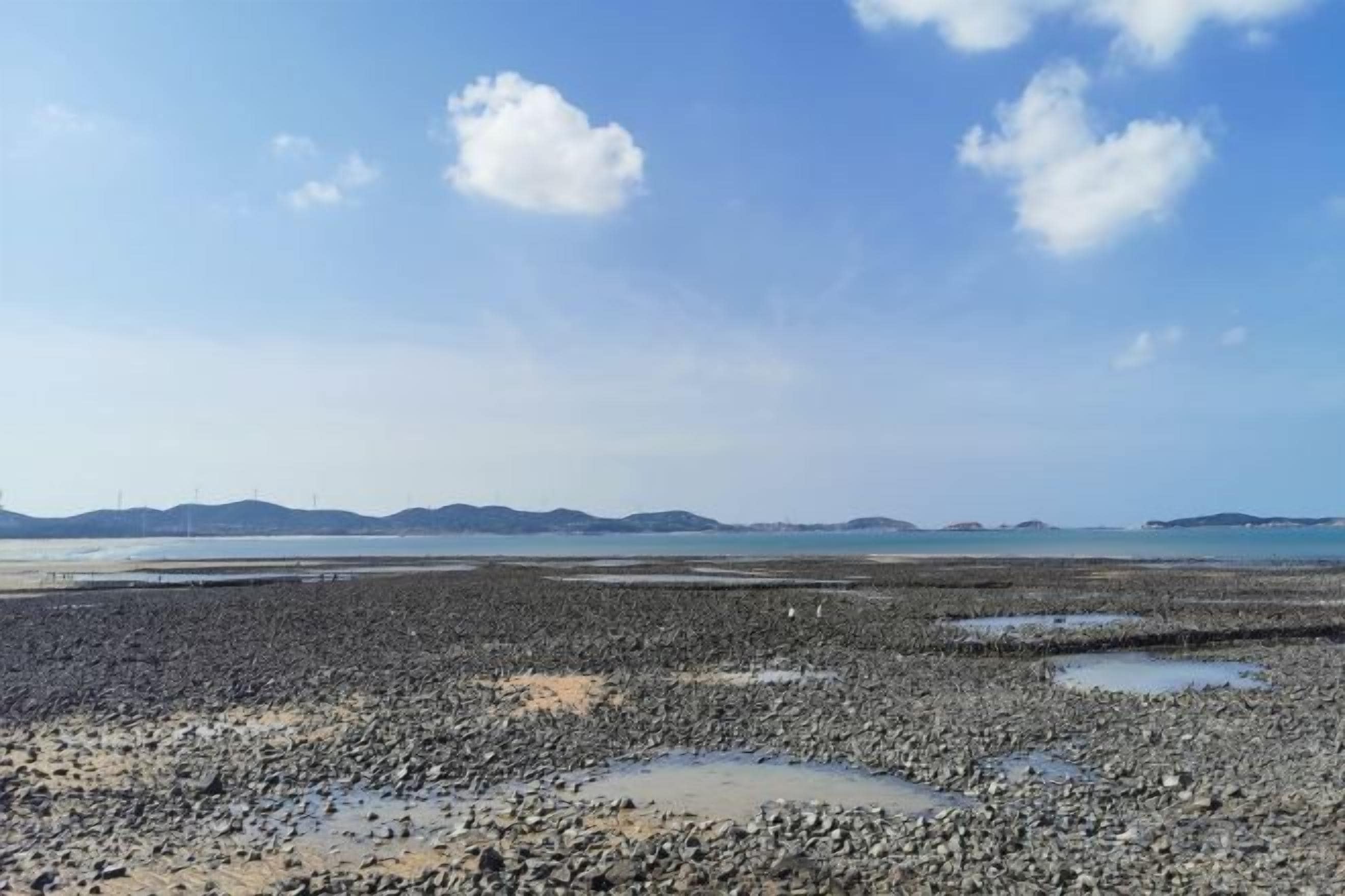 海灘