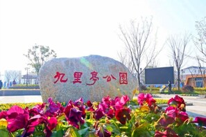 미분류 이미지, 2/10장, 버튼