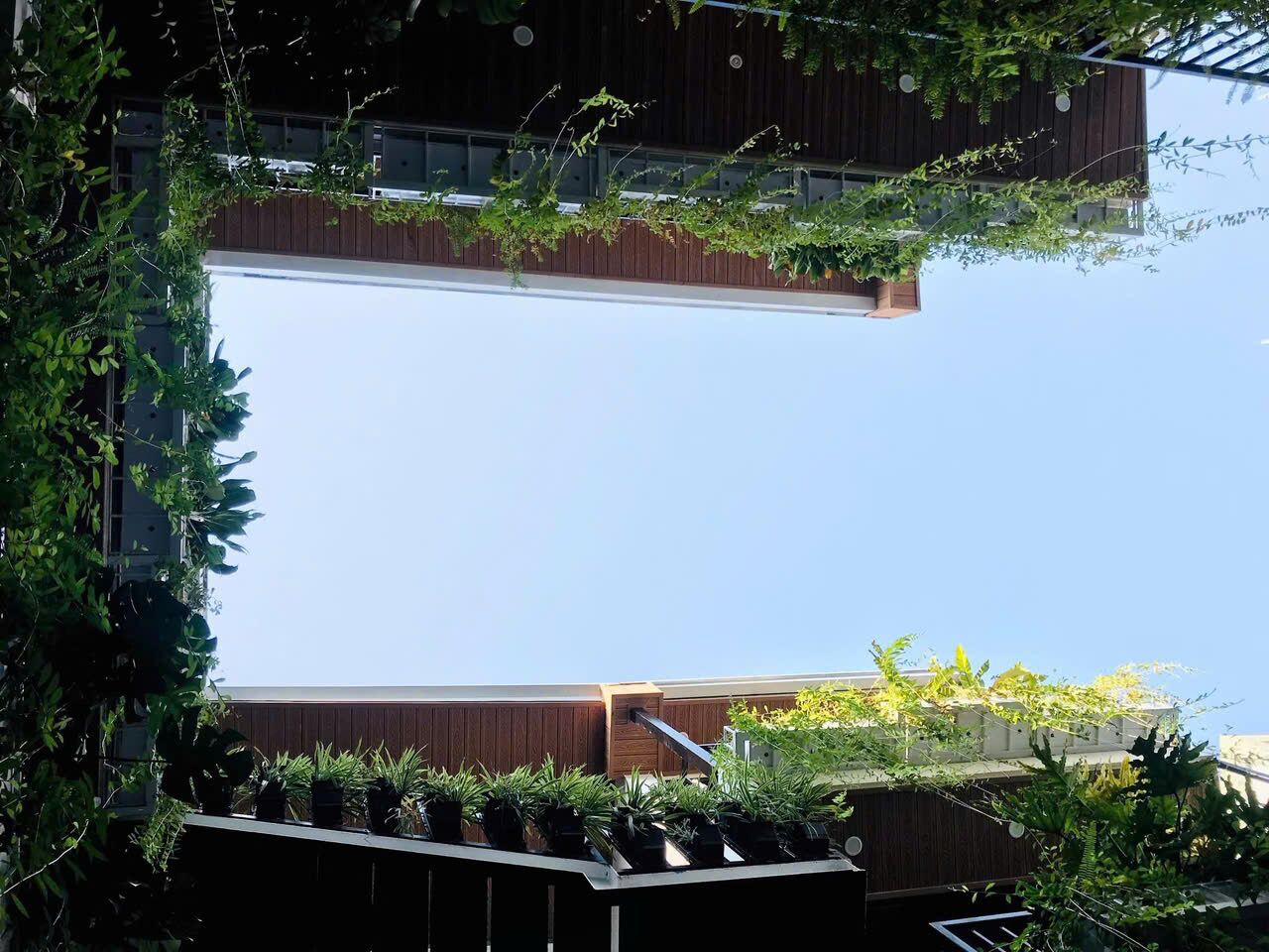 A modern building with a flat roof and a series of potted plants arranged along the edges.