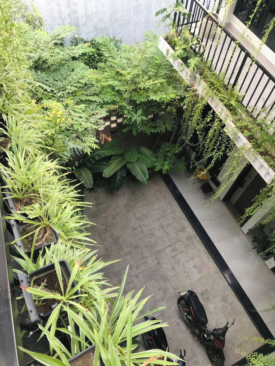 A rooftop garden with various plants and a motorcycle parked on the ground.