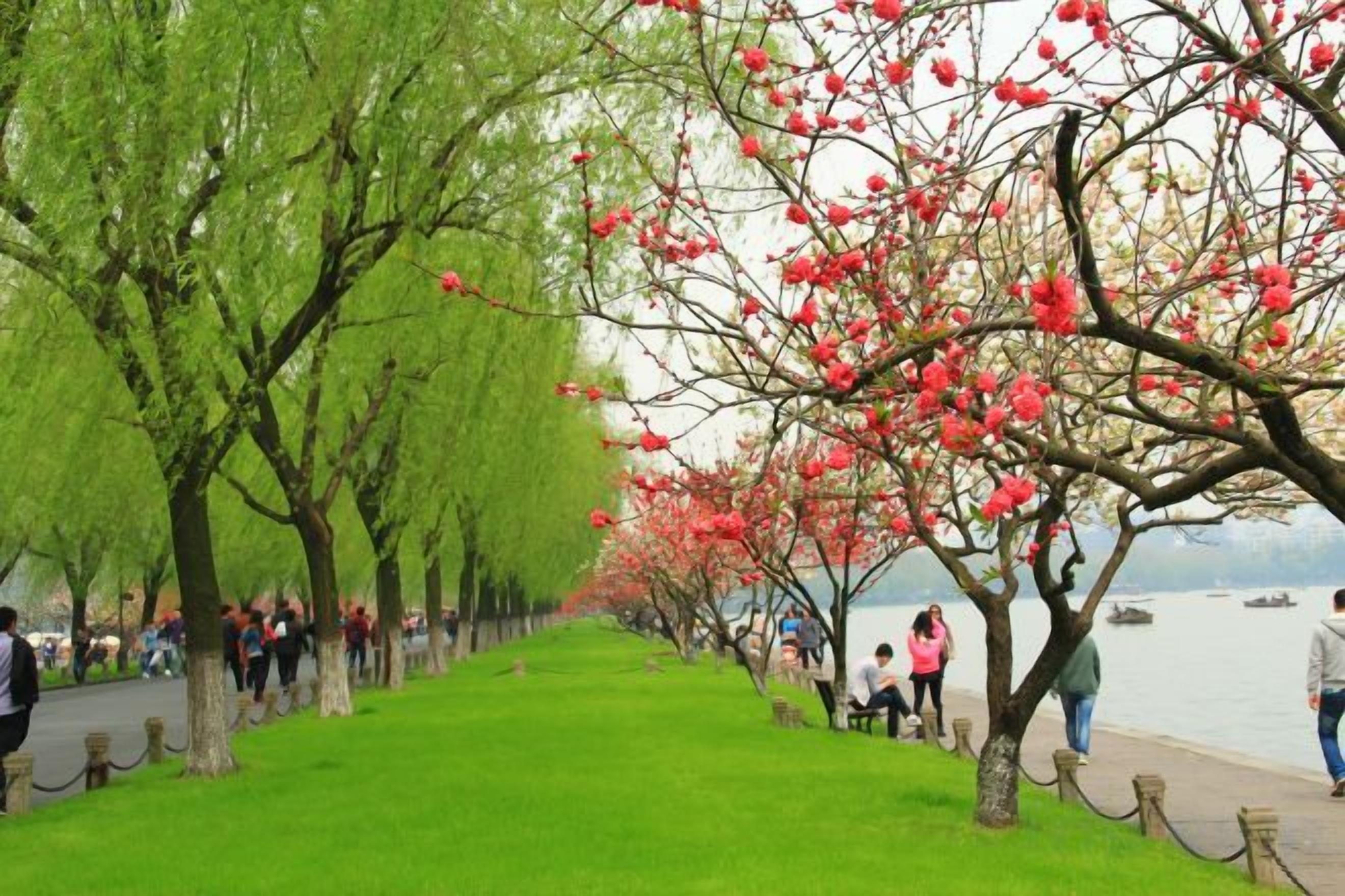 A park with a row of trees, a grassy path, and a body of water in the background.