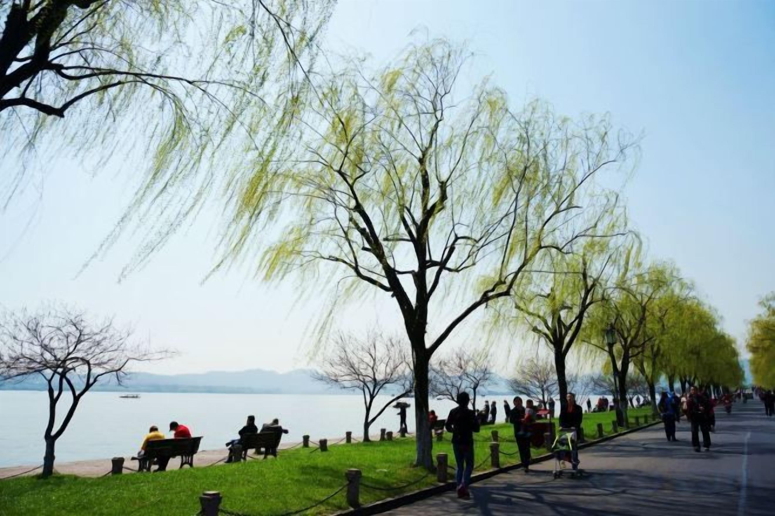 A lakeside walkway with trees and benches, people walking, and a distant view of mountains.