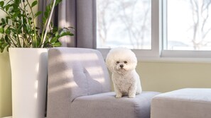 Basic Room, 1 Bedroom (room 101(Ocean view / Spa / Pet)) | 1 bedroom, free WiFi - Yeongheungdo Sunset Spa Pension (Incheon)