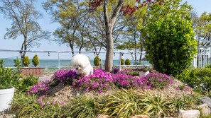 1 habitación y wifi gratis 