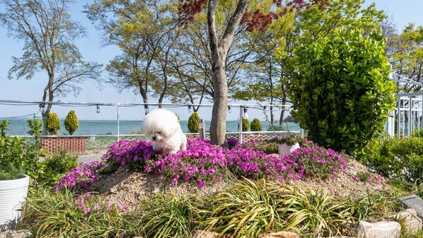 ห้องเบสิก, 1 ห้องนอน (room 101(Ocean view / Spa / Pet)) | 1 ห้องนอน, Wi-Fi ฟรี