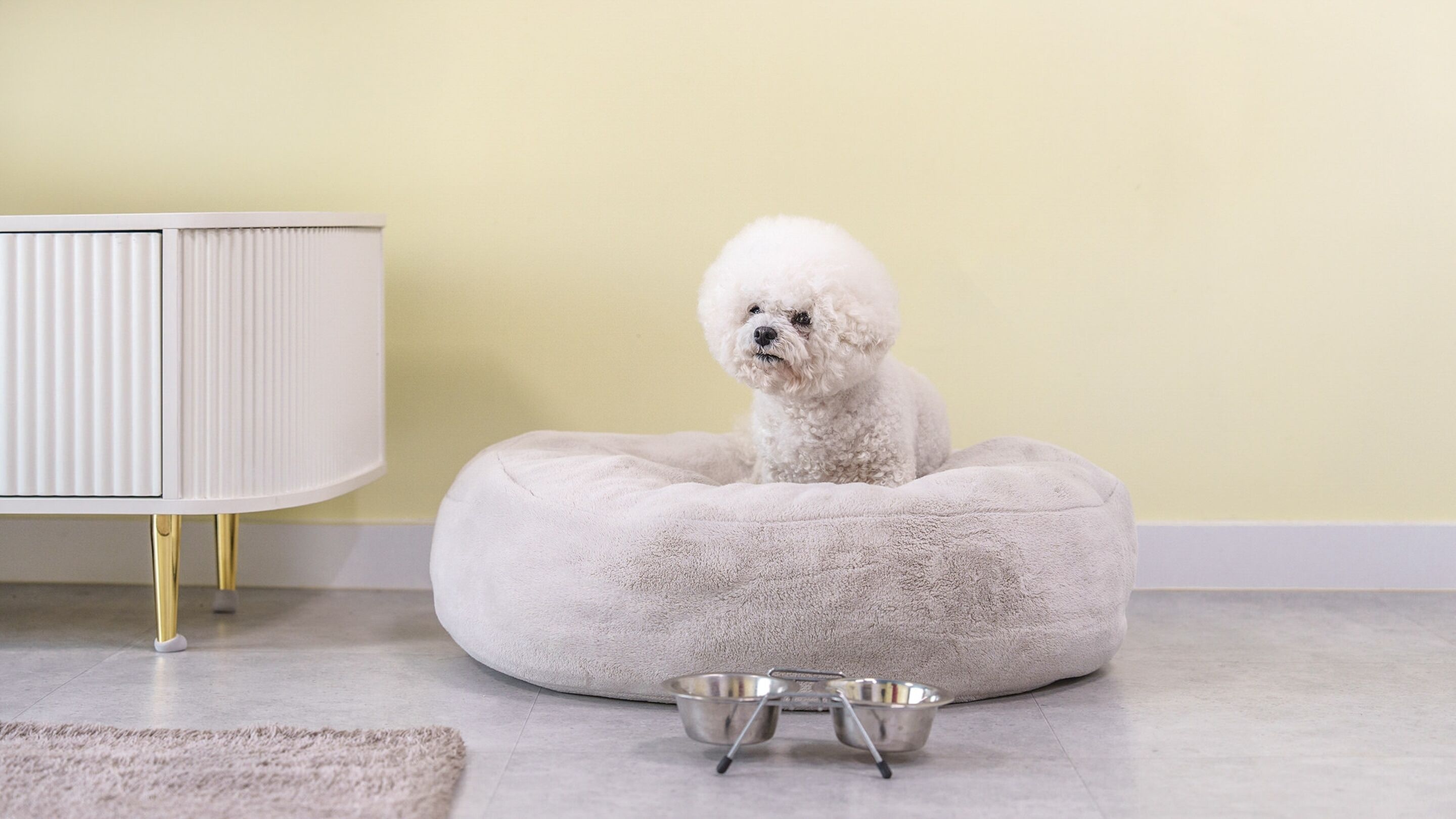 Basic Room, 1 Bedroom (room 101(Ocean view / Spa / Pet)) | 1 bedroom, free WiFi