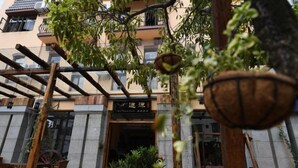 Un patio con una pérgola de madera, plantas en macetas y la entrada de un edificio con un cartel.
