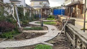 庭園