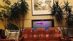 A traditional wooden sofa set with intricate carvings, a television screen, and potted plants. - Seamens Club (Longkou)