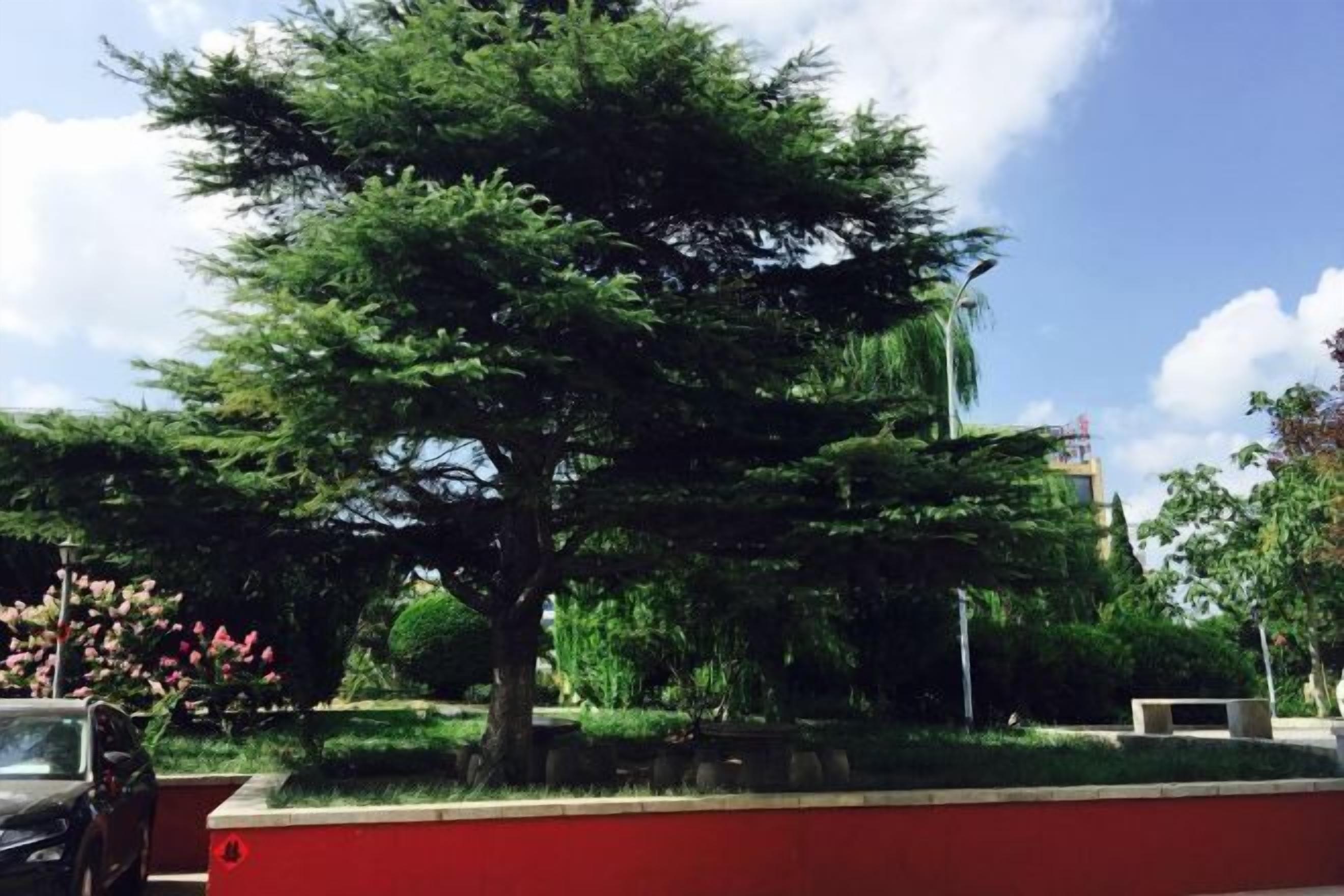 المنطقة المحيطة بالمنشأة