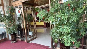 Ein Hotel Eingang mit Glastüren, Blumentöpfen und einem roten Teppich.
