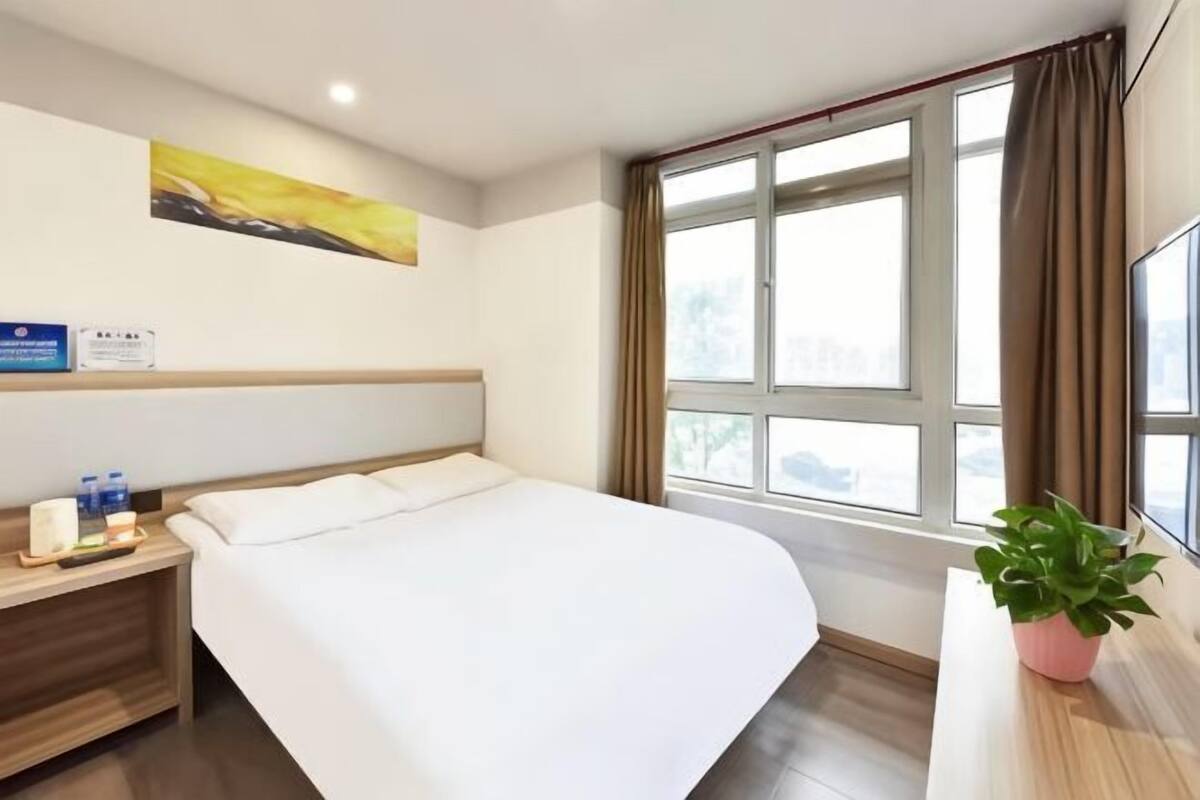 Une chambre d’hôtel avec un lit, une table de chevet, une plante en pot, une fenêtre avec des rideaux et un tableau au mur.