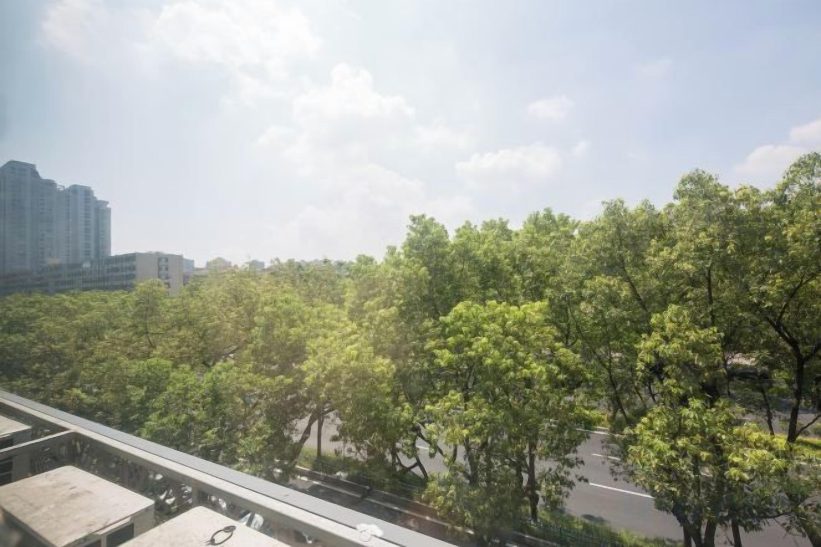 A view of a road with trees and buildings in the background.