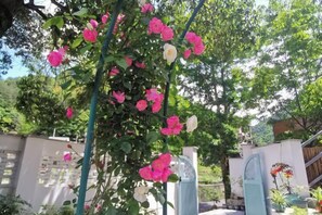 Un jardín de rosas con una estructura de celosía.