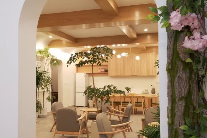 A modern kitchen with wooden cabinets, a dining area with chairs, and a hanging plant.