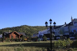 A residential area with houses, a street lamp, and a forested hill in the background.