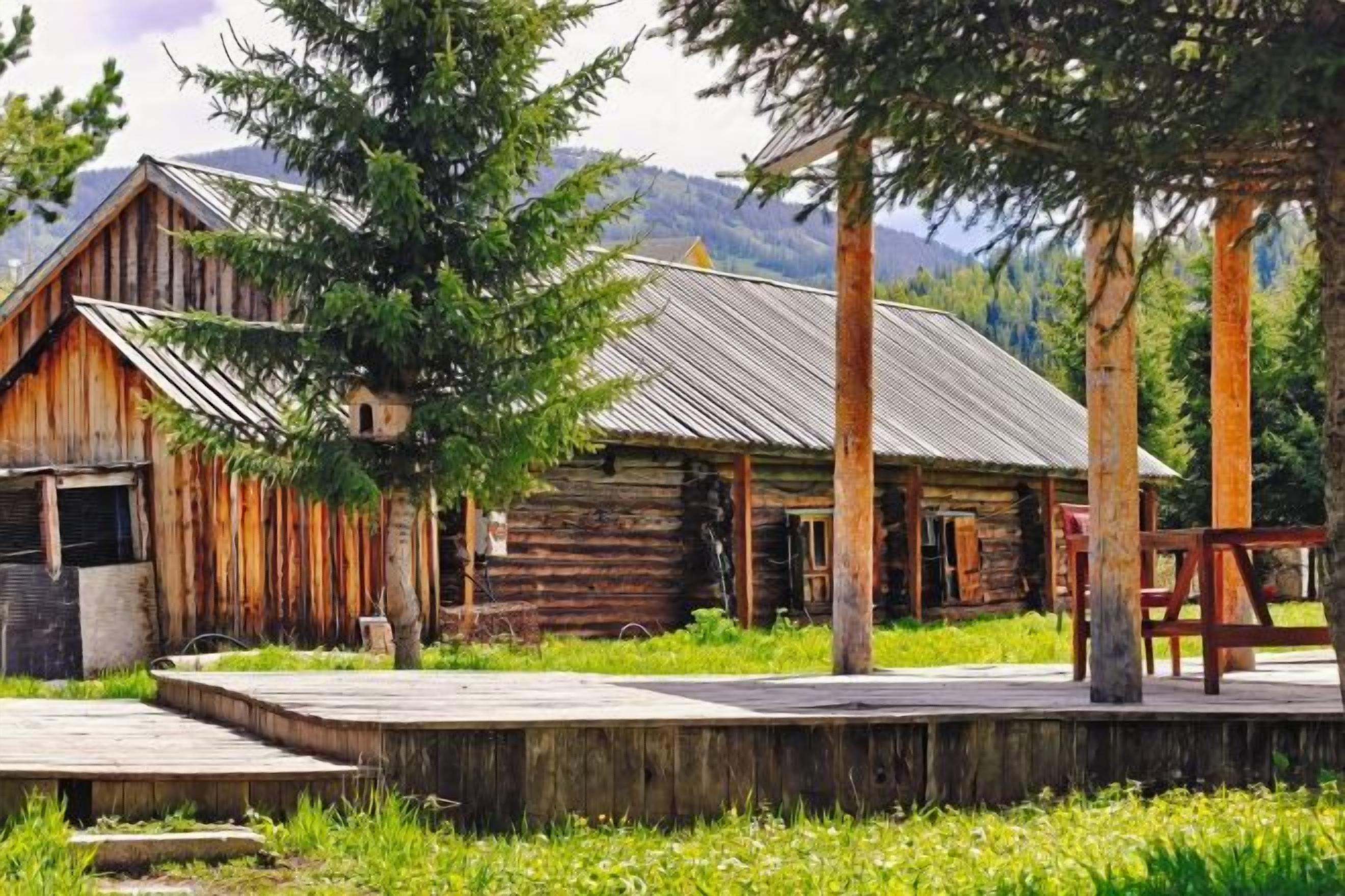 A rustic wooden cabin with a metal roof, surrounded by lush greenery and a wooden deck.