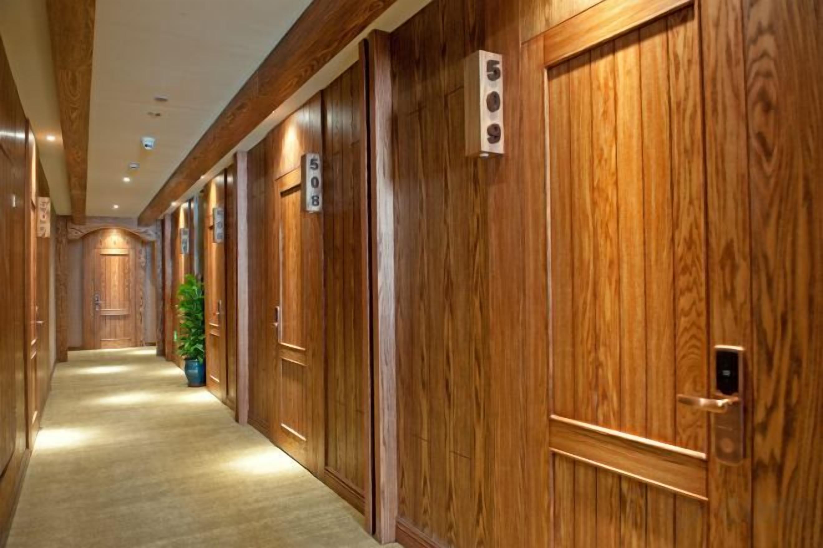 A hotel corridor with wooden doors numbered 508 and 509, a carpeted floor, and a potted plant.
