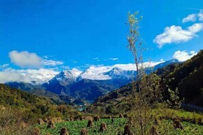 Room - Baoxing Shenmu Lei Mountain Villa (Baoxing)