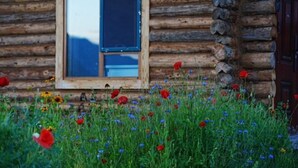 A log cabin with a window and a garden with various wildflowers. - Hemu Free Tribe Villa (Burqin)