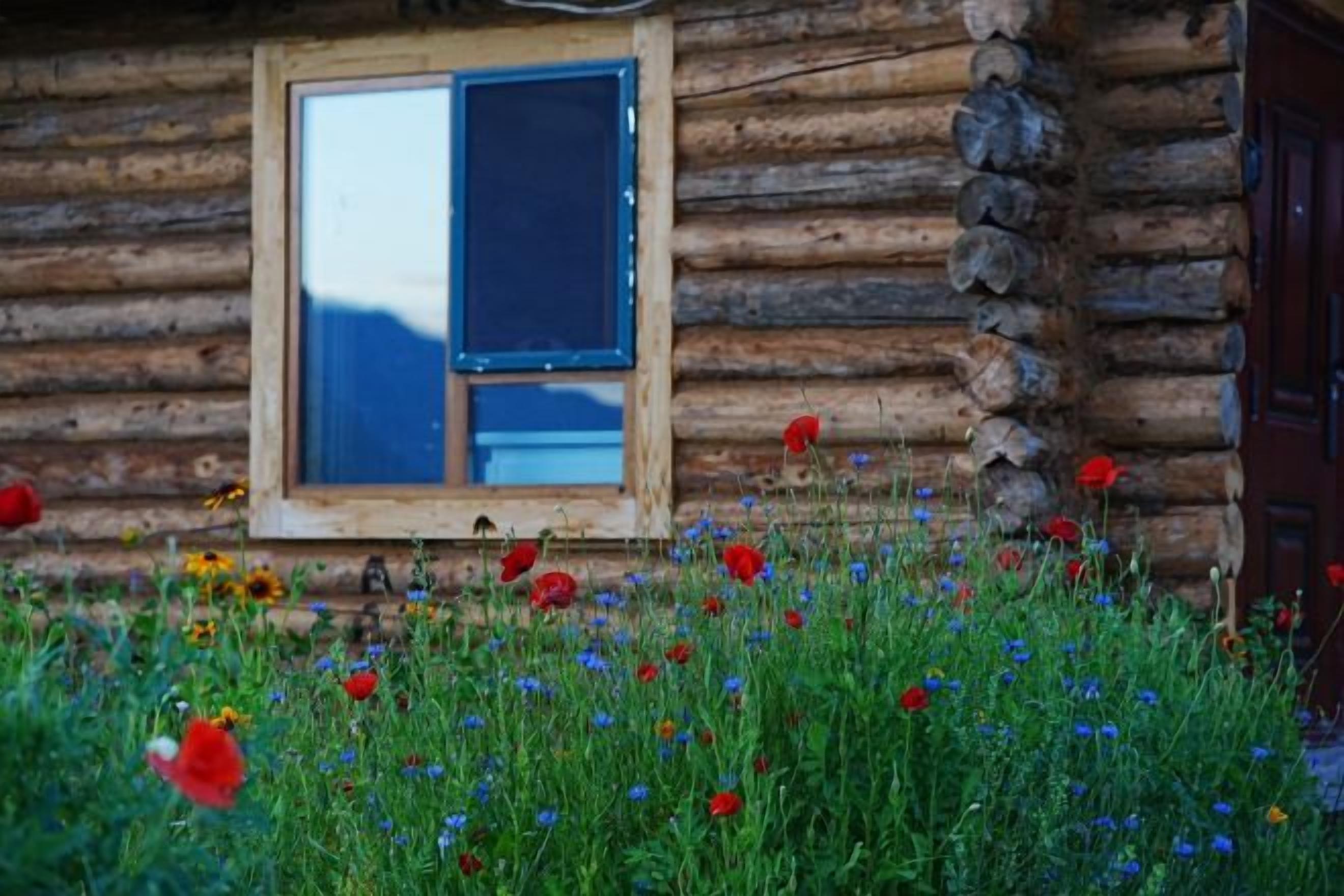 Una cabana de fusta amb una finestra i un jardí ple de flors diverses.