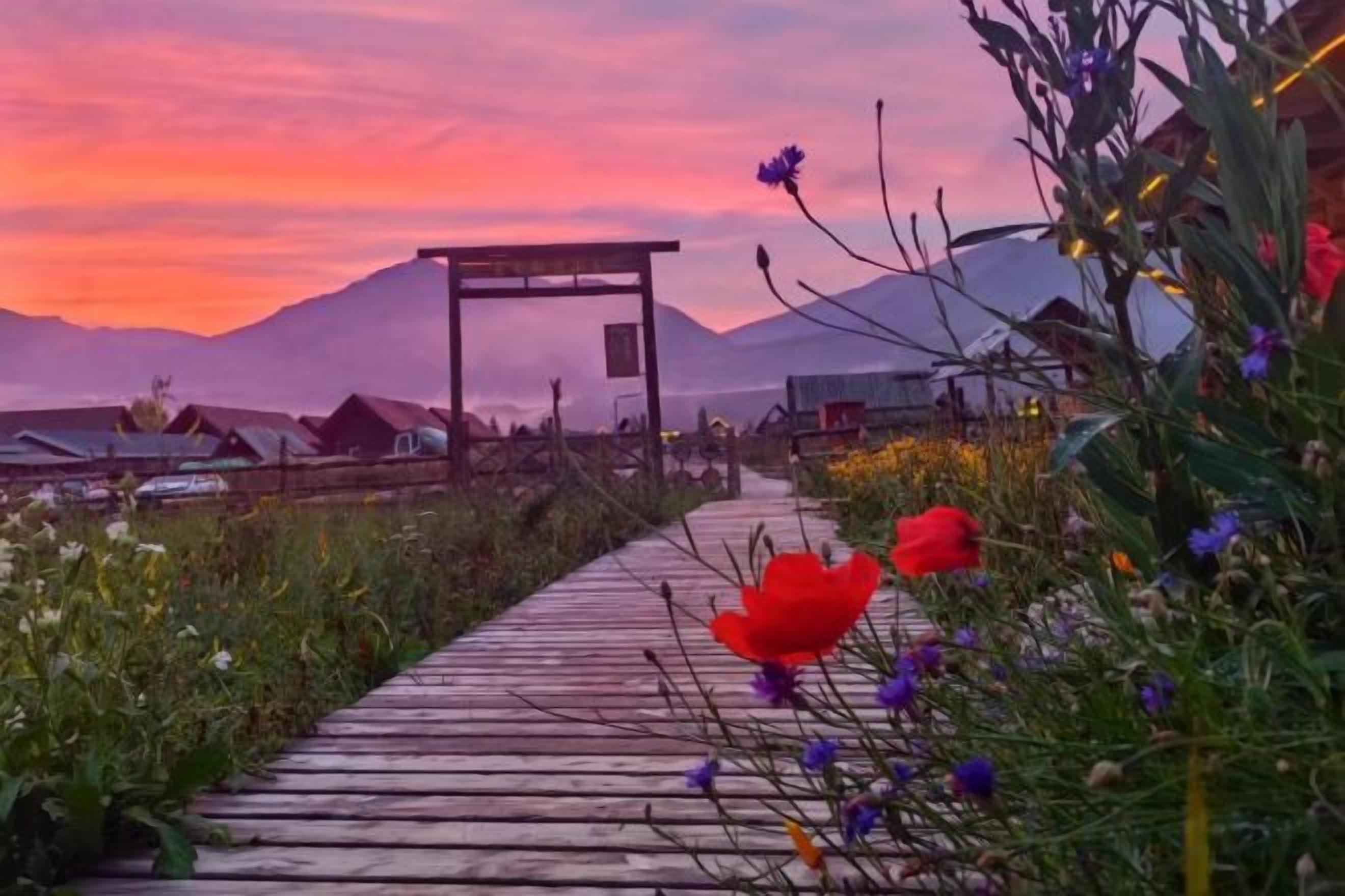 A wooden pathway leading to a wooden structure with a sign, surrounded by wildflowers and a mountainous backdrop.