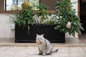 Property grounds - Dali Nuan Nuan Ying Jing Cliff Sea View Hotel (Dali City)