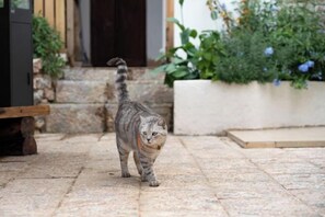 Commodité de l’hébergement 