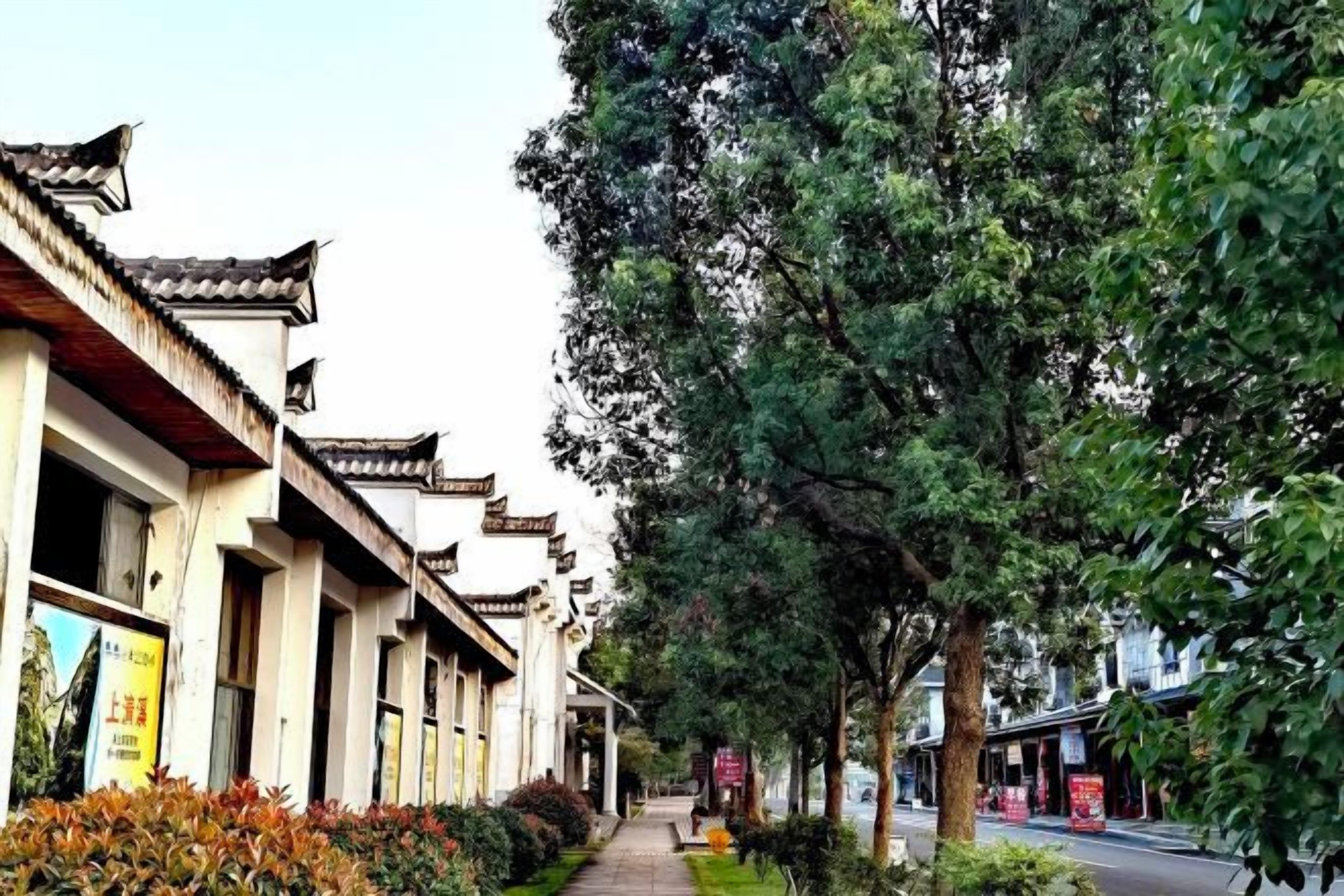 Una hilera de edificios tradicionales con un sendero bordeado de árboles.