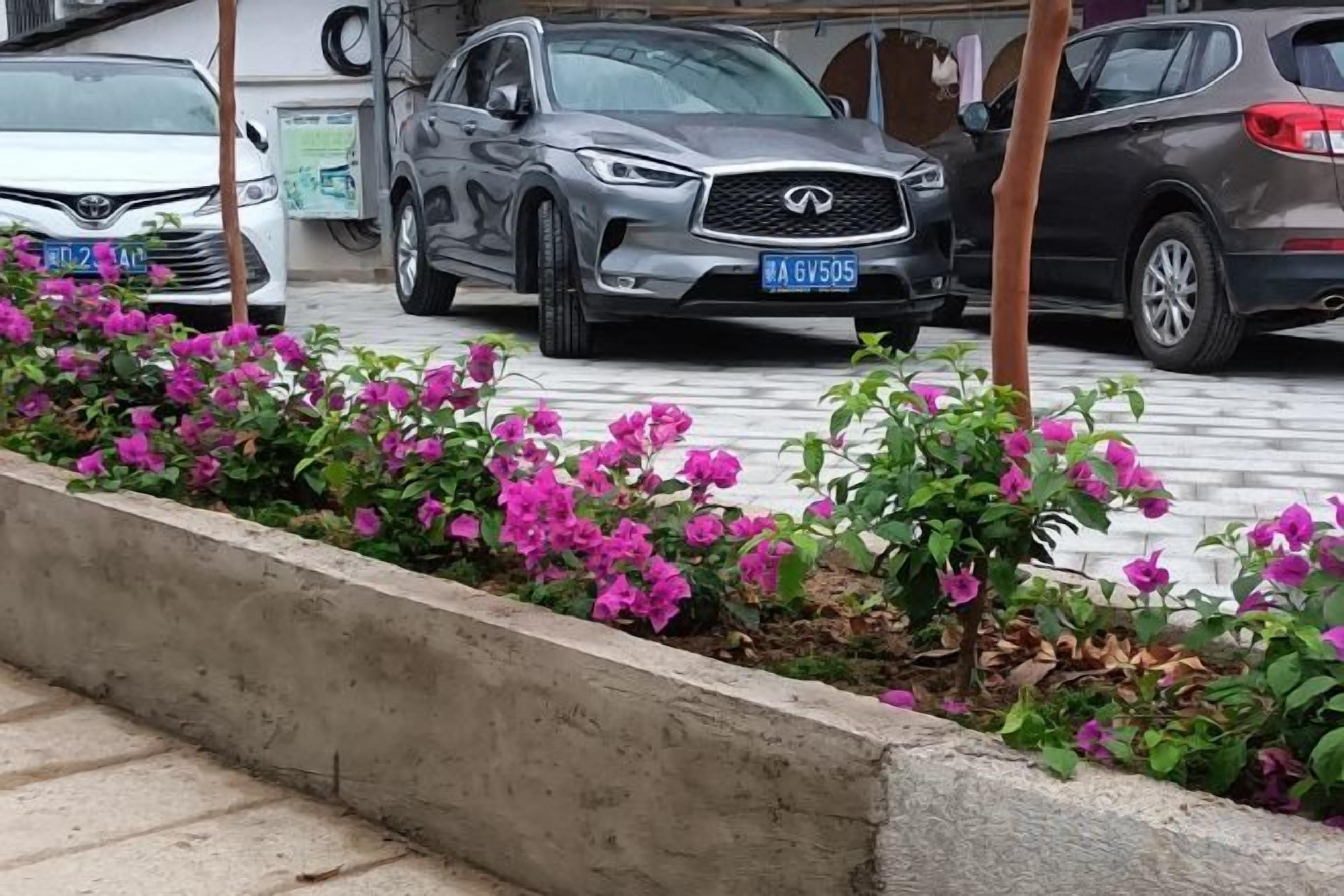 Un aparcament amb diversos cotxes, una jardiniera de formigó amb flors roses i un edifici al fons.