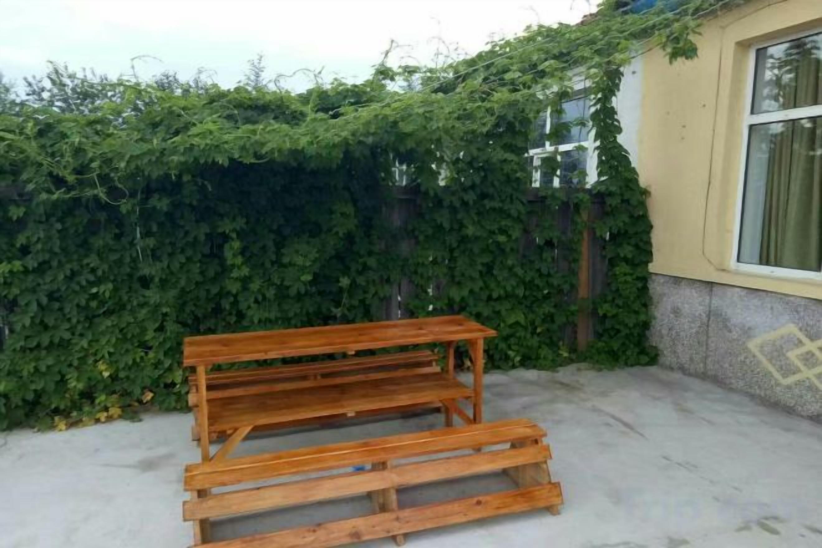 A wooden bench in an outdoor area with a concrete floor, surrounded by a hedge.