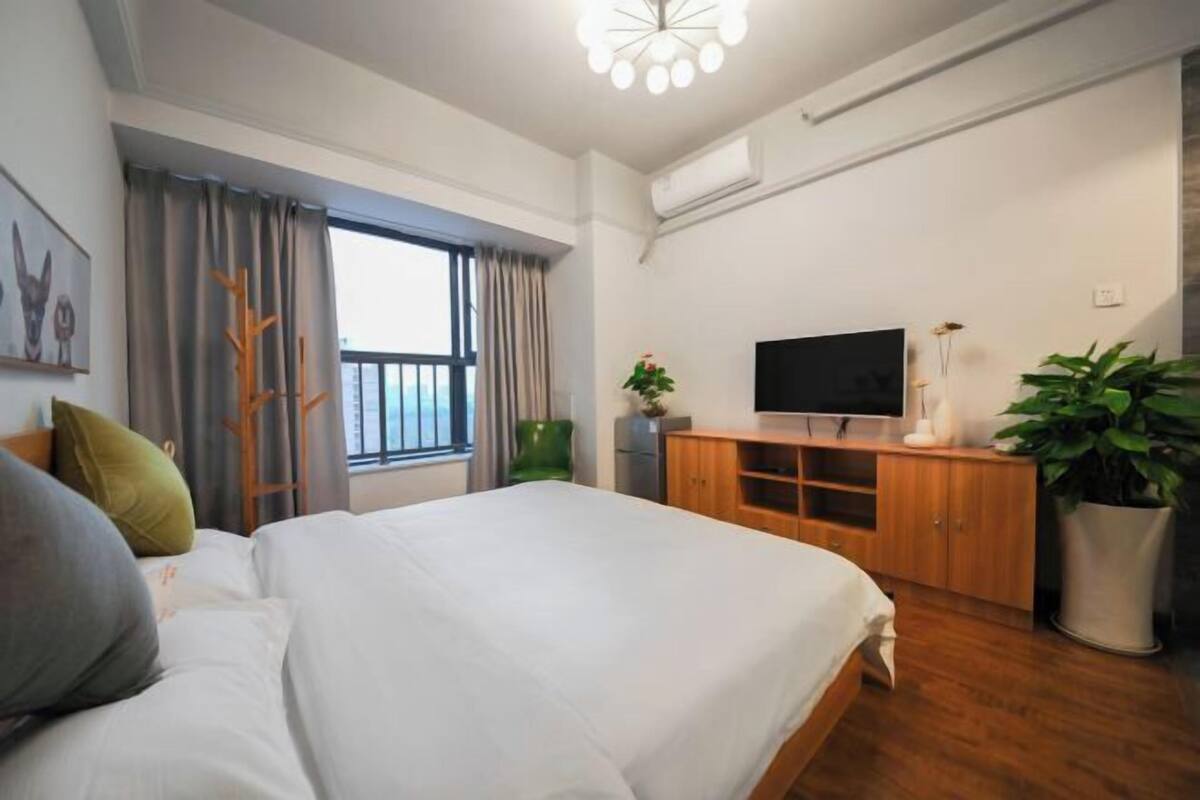 Habitación de hotel con cama, televisor, escritorio, planta y ventana con cortinas.