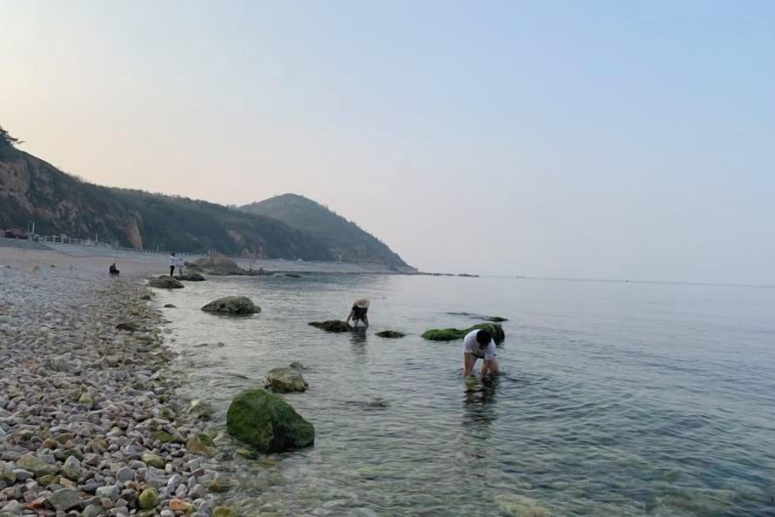 A pebbled beach with clear water and rocks, a distant shoreline, and a hilly background.