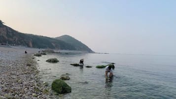 A pebbled beach with clear water and rocks, a distant shoreline, and a hilly background.