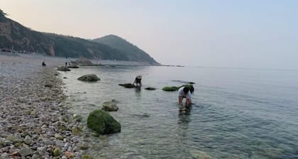 Long Island Wanfu Fisherman's House